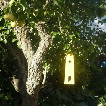 Trullo Mauro Mgg - Trullo Fragale Holiday home Martina Franca
